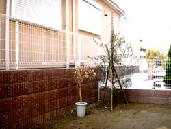 施工前　画像