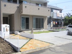 7.全体