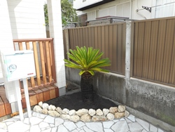 5.ソテツを植えて完成
