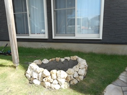3.珊瑚石花壇完成