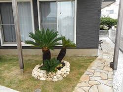5.植木を植えて完成