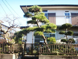 施工前　画像