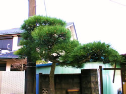 施工前　画像