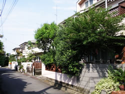 手入れ前　画像