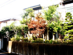 施工前　画像